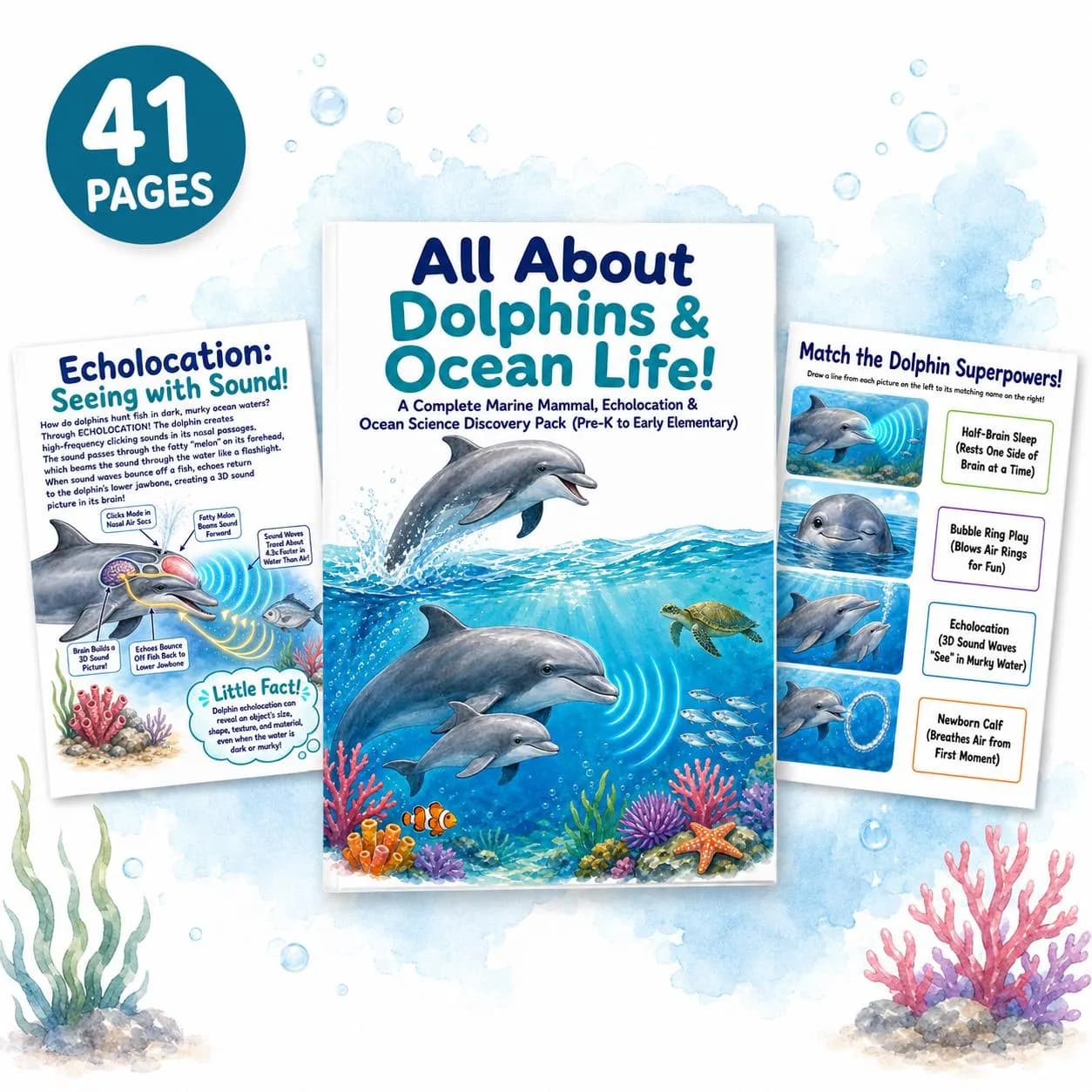 Dolphin Printable Activity Pack for Kids