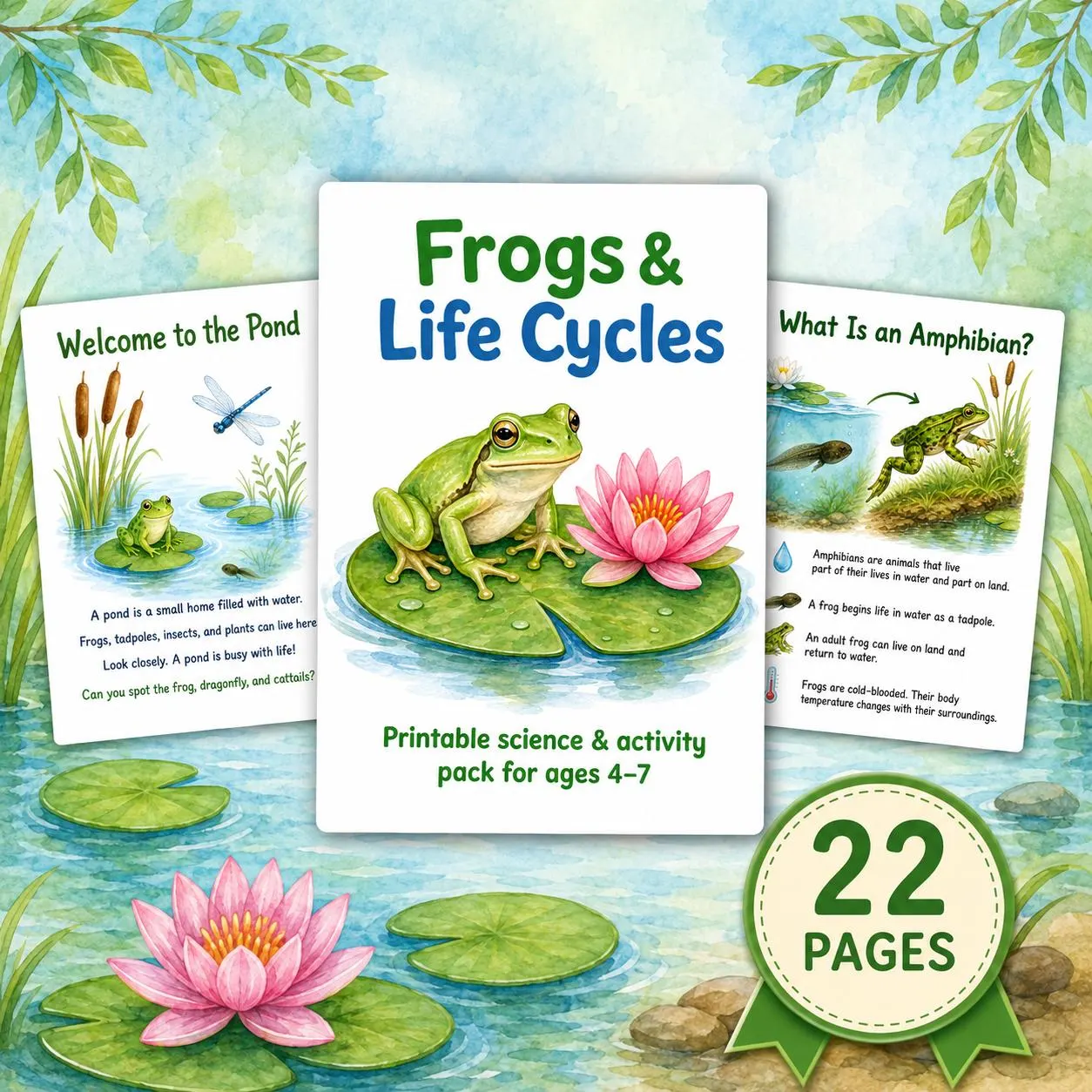 Frog Life Cycle Printable Pack