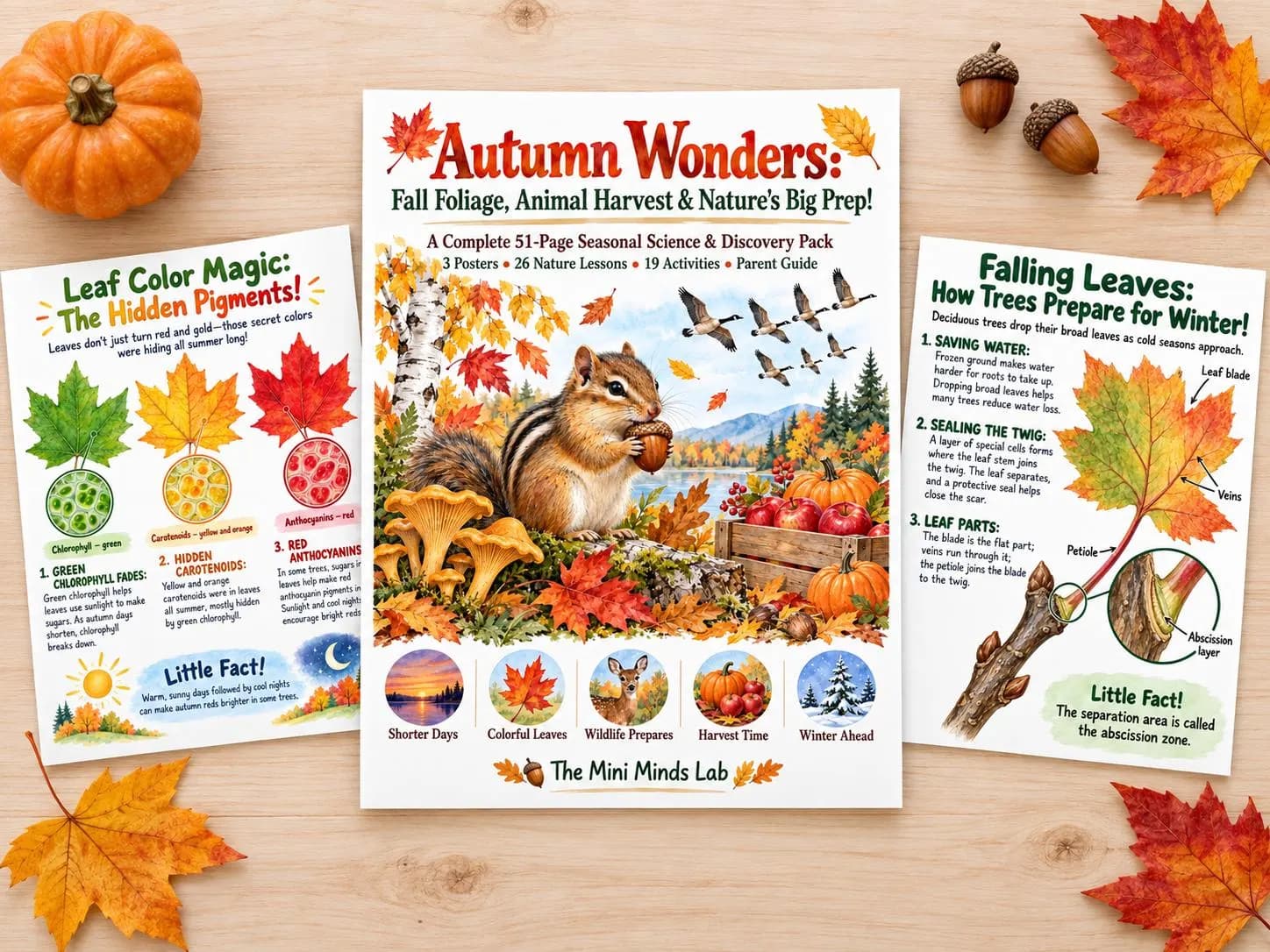 Autumn Wonders: Science & Nature Workbook