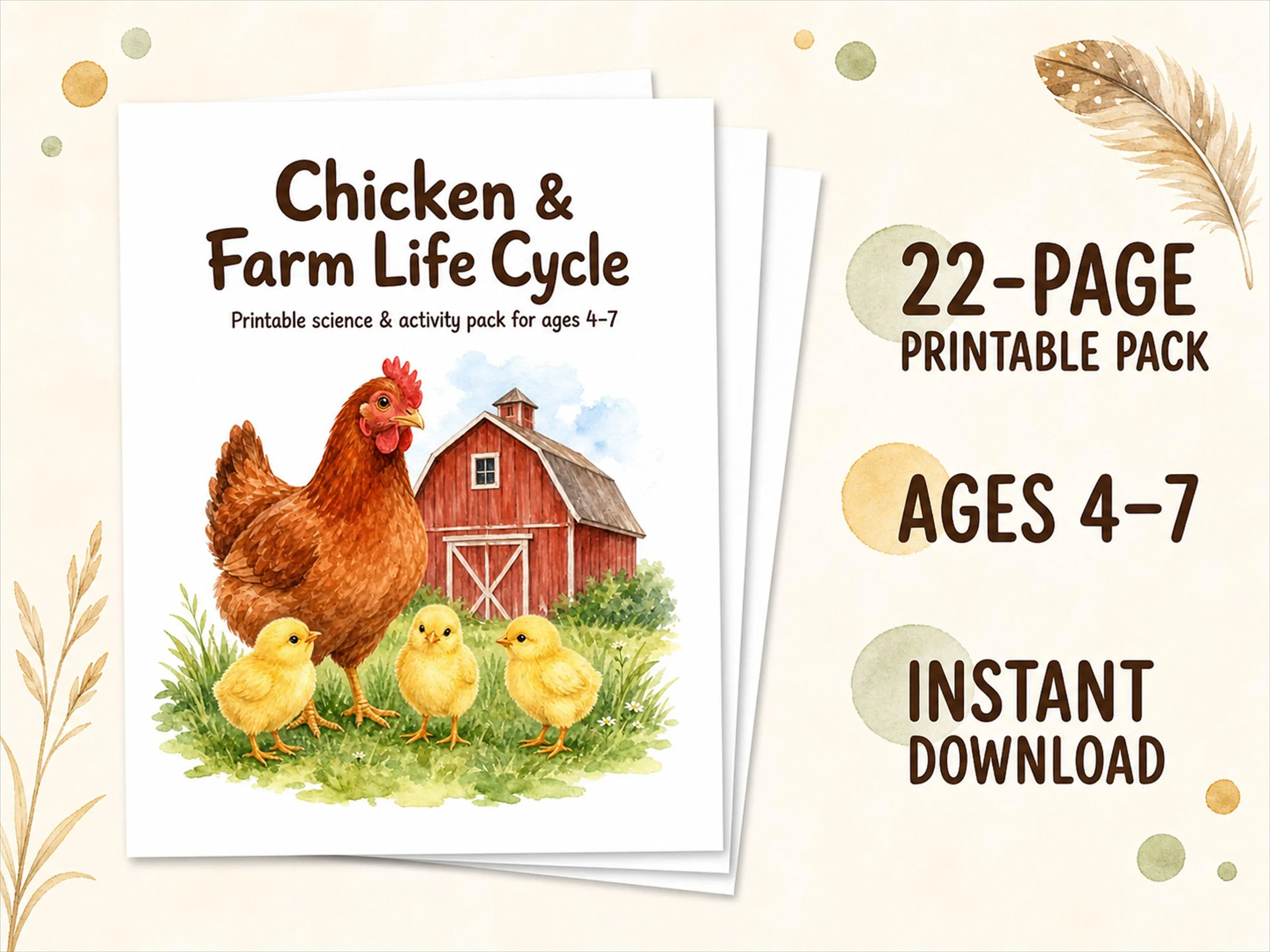 Chicken Life Cycle Workbook for Kids