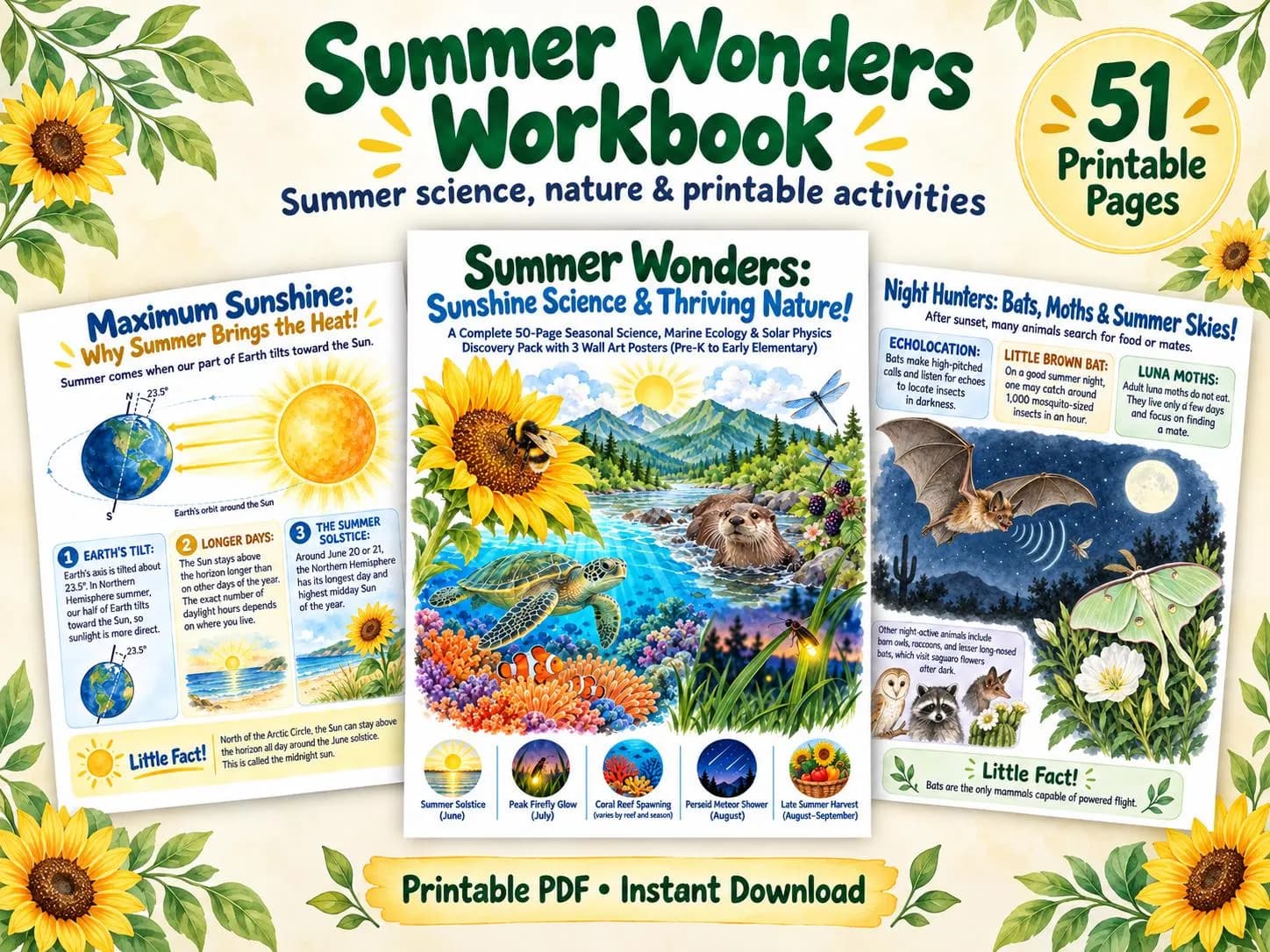 Summer Wonders: Science & Nature Workbook