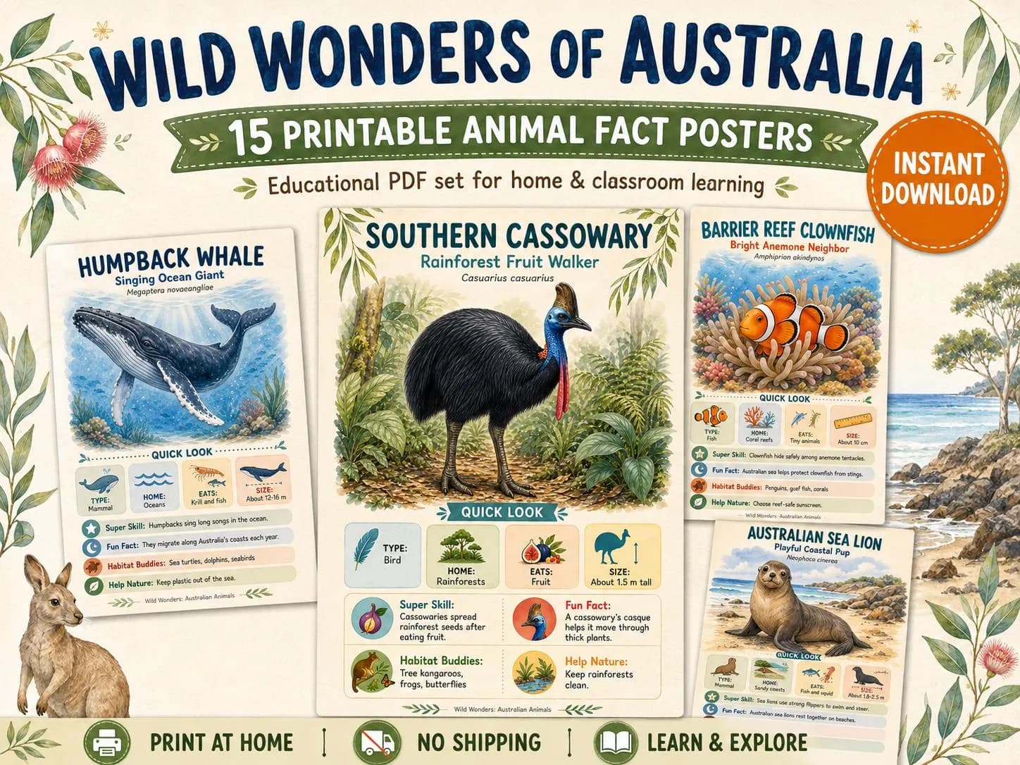 Australian Animals Printable Fact Posters