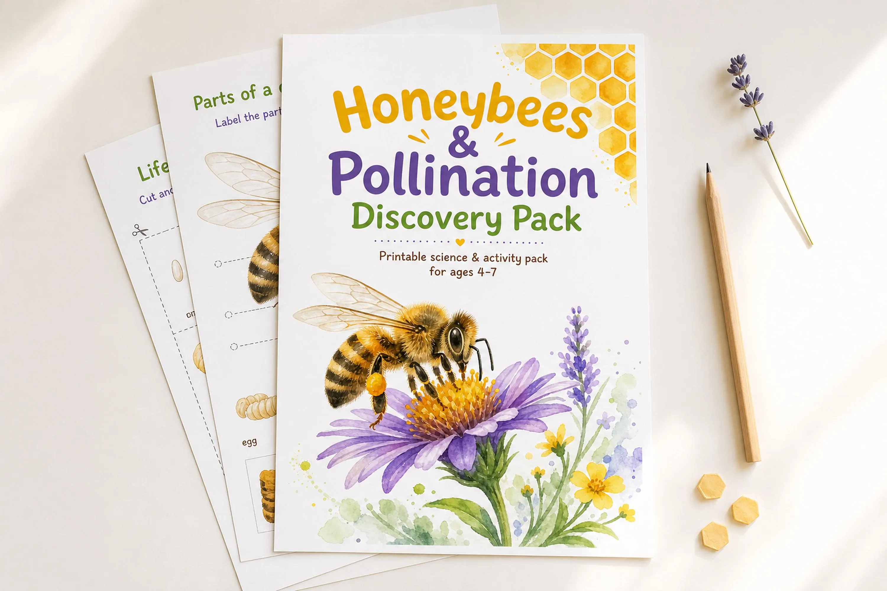 Honeybees & Pollination Discovery Pack