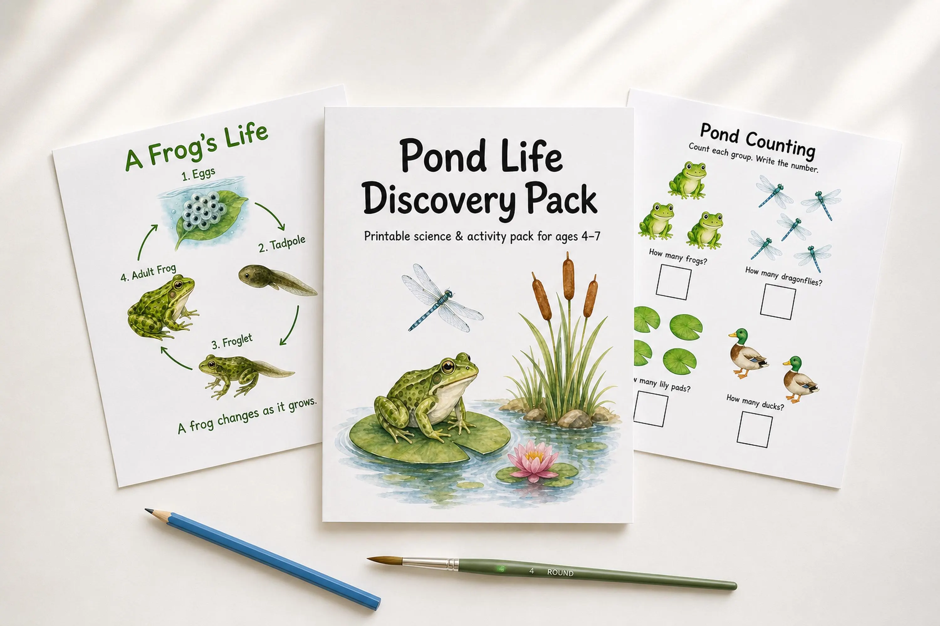Pond Life Discovery Pack