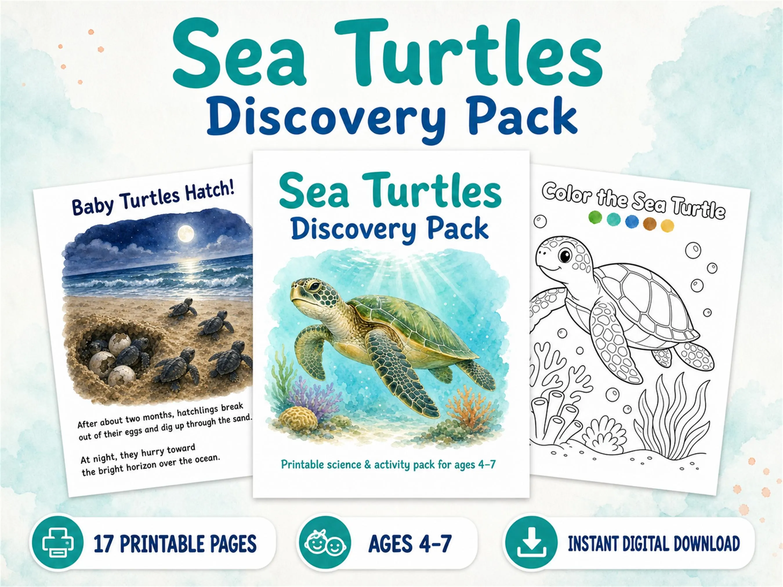 Sea Turtles Discovery Pack