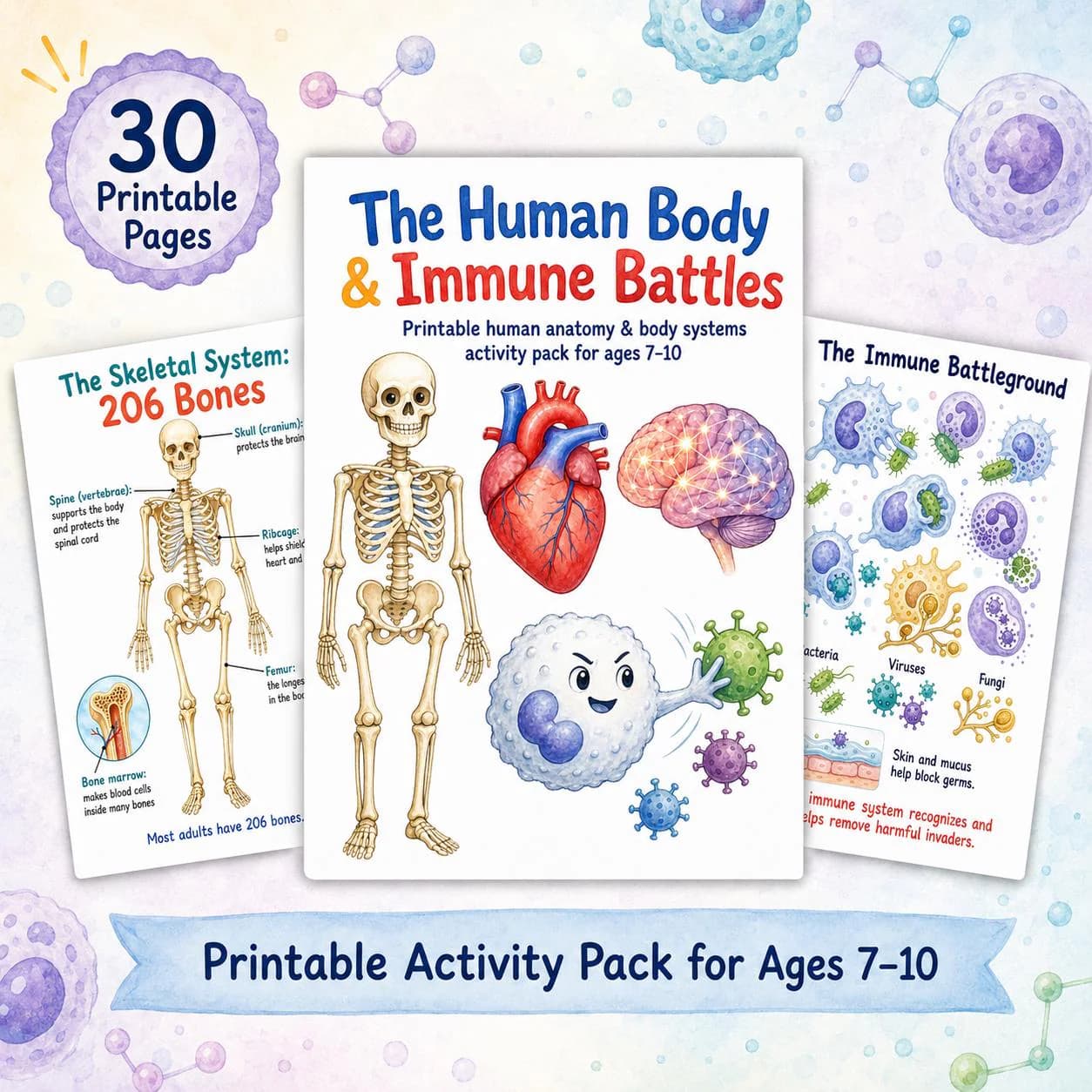 Human Body Immune System Printable Activity Pack