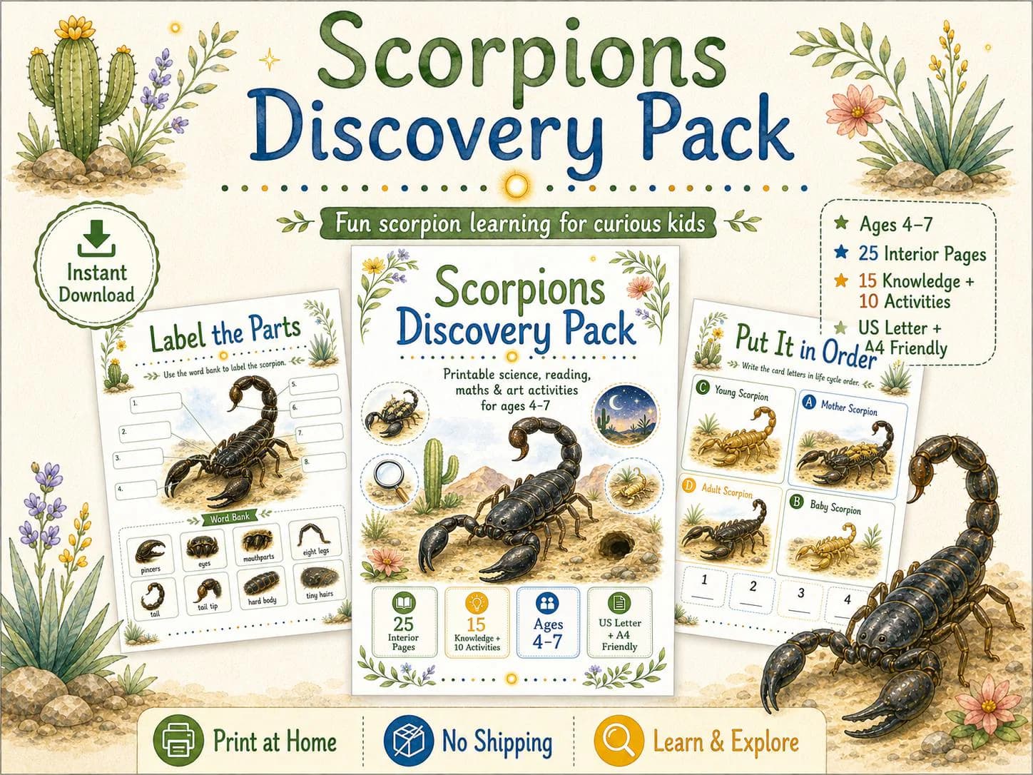 Scorpions Discovery Pack – Printable Science